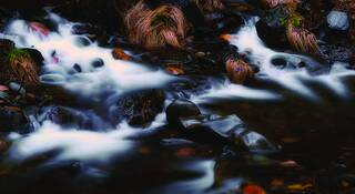 River_ranch_1