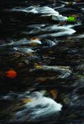 River_ranch_2