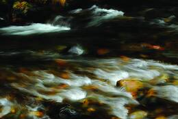River_ranch_3