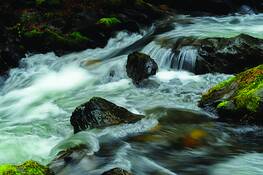 River_ranch_4