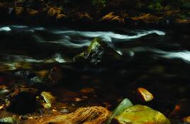 River_ranch_5