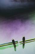 In_the_fog__3