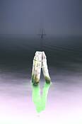 In_the_fog__4