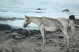 Ice_horse