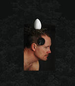 Bird_brain