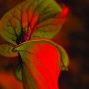 Unitiled_2
