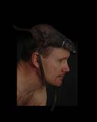 Dog_chapeau
