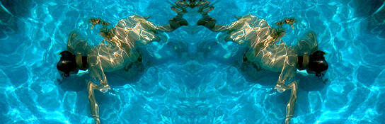 Frog_morph_2