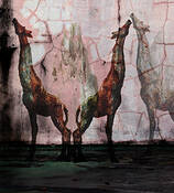 Giraffe_wall