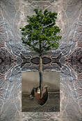 Transformation__1
