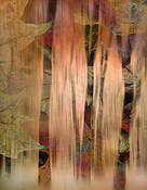Exposure_fusion_-_leaves_trees