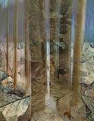 Exposure_fusion_-_trees_leaves