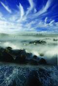 Ipswich_dream