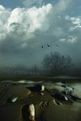Tree_cloud_stones