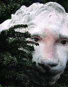 I_m_lion_to_you