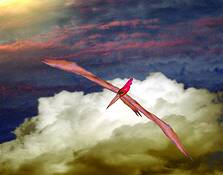 Leafadactyl_-_alone_above_the_clouds