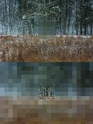Pasture_2