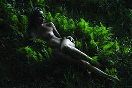 Brit_with_ferns