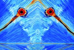 Marine_eyes