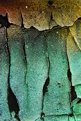 Boshing_11