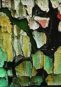 Boshing_123
