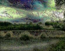 Landscape_metamorphosis__2