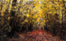 Landscape_metamorphosis__12