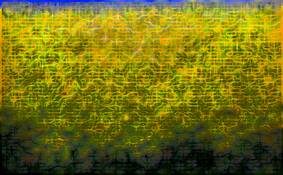 Landscape_metamorphosis__15