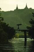 Travel_1