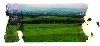 Field