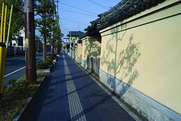 Morning_shadows