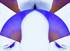 Abstract_from_sculpture