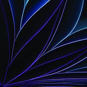 Blue_note_no_3