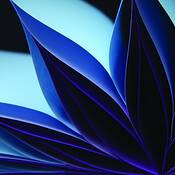 Blue_note_no_4