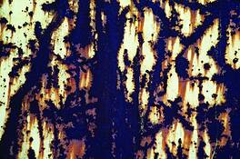 Transformations__135