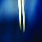 Untitled_2