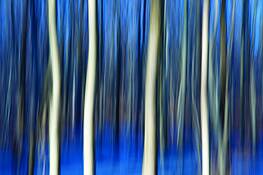Untitled_3