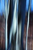 Untitled_4