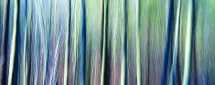 Untitled_5