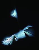Peregrination