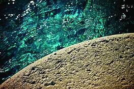Untitled_7387