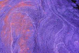 River_view_red_foam