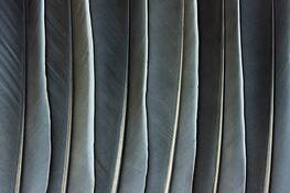 Untitled_2