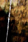 Birch