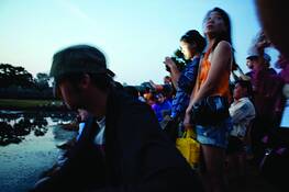 Untitled_1