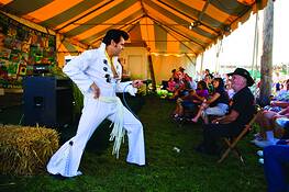County_fair_2