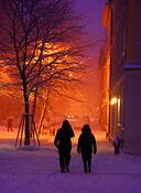 Snowy_sunday