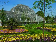 Palm_house