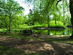 Relaxing_by_the_pond