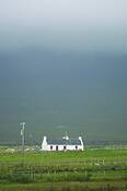 Untitled_2